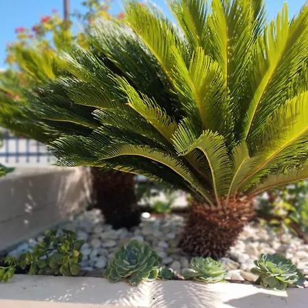 House Kochyli Дом отдыха Agia Eirini